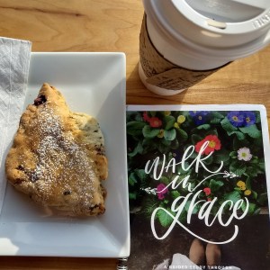 Walk in Grace Journal